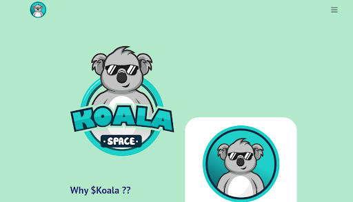 koala_space